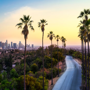 Los Angeles - California State University