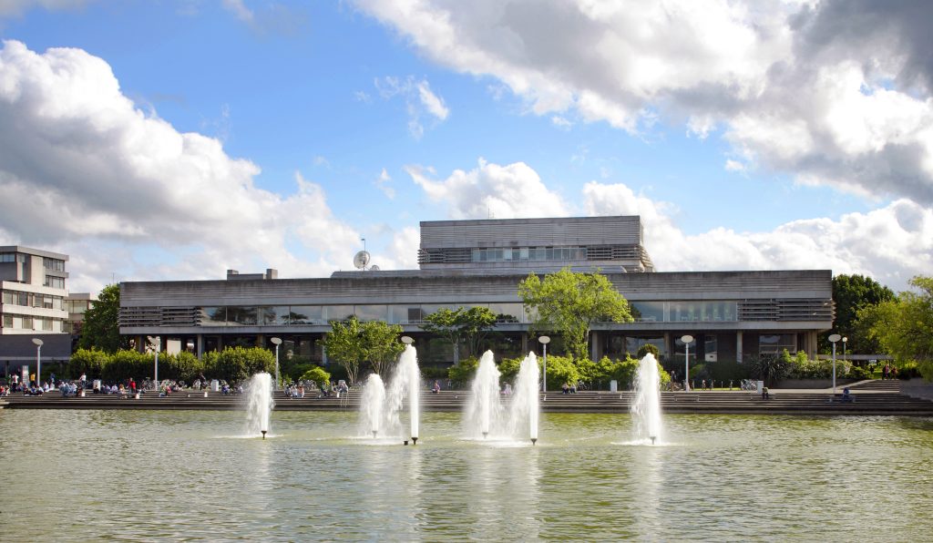 Lake & library