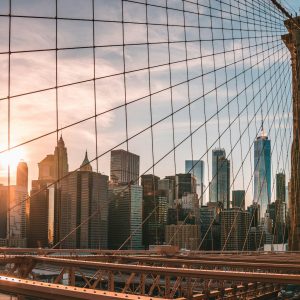 New York Brooklyn | Long Island University