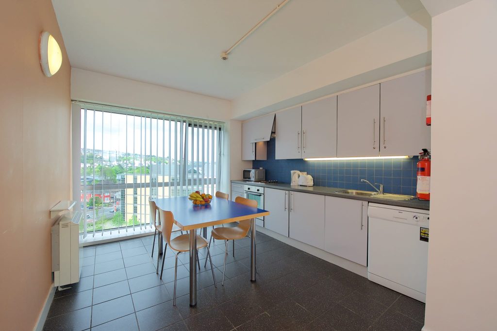 UCC VM Single Room Apt Kitchen