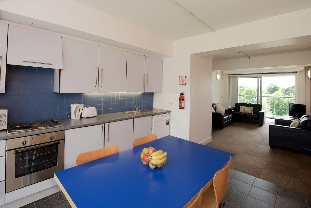 UCC VM Single Room Apt Kitchen Living Room