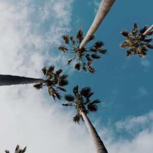 San Diego
